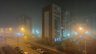 МЧС предупреждает: в Самарской области ожидается густой туман