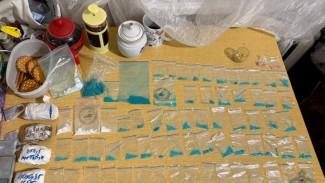 В Самаре полицейские задержали женщину за незаконный оборот наркотиков