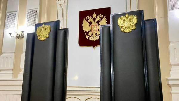 Самарец отделался 150 тыс рублей штрафа за два удара в плечо полицейскому в парке Победы