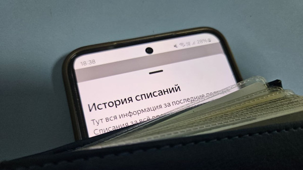 В Самарской области хотят запретить автоподписки на платные онлайн-сервисы