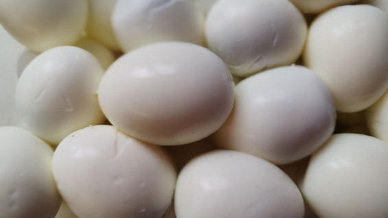 Самарцам рассказали, какой продукт улучшает мышление у пожилых