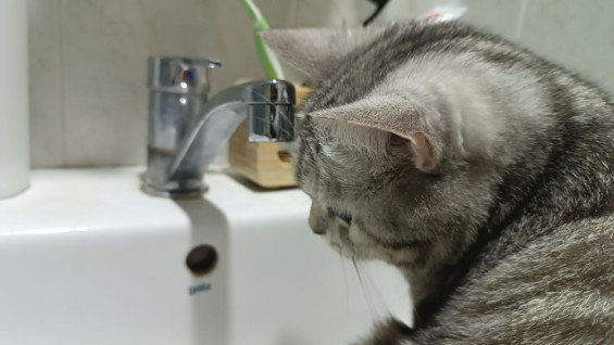 В Самаре 9 августа без воды останутся жители шести улиц