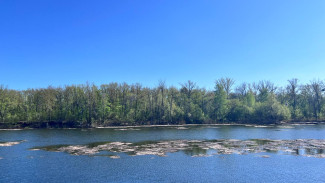 Появились кадры уничтожения вандалами качелей на «Мысе Красоты» под Самарой