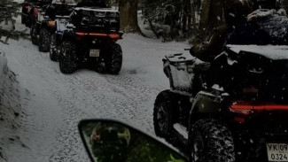 Жители Самары хотят отгородить лесопарк "Дубки" шлагбаумами 