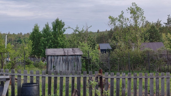 Ужас дачника: самарцам назвали главные угрозы садоводничества в майские праздники