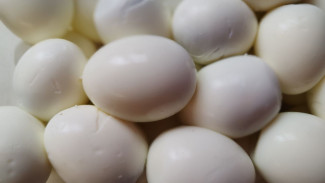 Самарцам рассказали, какой продукт улучшает мышление у пожилых