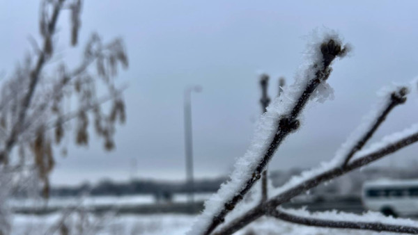 29 декабря - Агей Инесей: зачем нужно стучать топором по порогам и углам