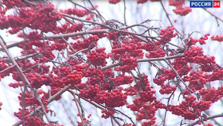 Стало известно, какие проблемы волнуют жителей Новокуйбышевска 