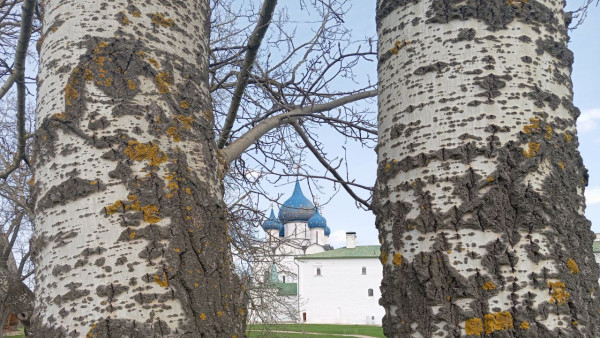 Великий вторник: что нельзя делать 30 апреля во второй день Страстной Седмицы