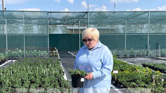 Вера Глухова рассказала дачникам, что важно посадить в саду на майские праздники