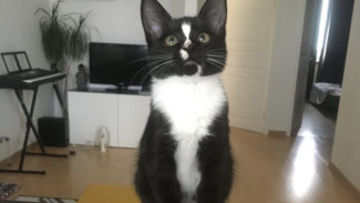 В мэрии рассказали, когда в Самаре включат отопление