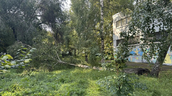 В Самаре устраняют последствия страшного урагана 17 августа