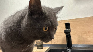 Самарцам сообщили адреса массового отключения холодной воды 4 марта