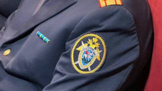 Следком РФ рассмотрит действия ВСУ против мирных жителей Самарской области 