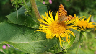 Стало известно, когда Самара разогреется до +29 градусов