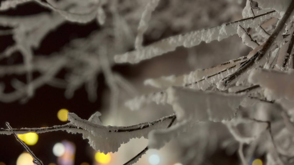 От -20°C до 0°C: Синоптики рассказали о резких перепадах температуры в Самаре