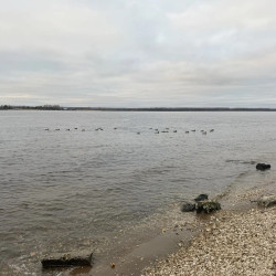 С 24 апреля в Самарской области вводится новое расписание речных перевозок 