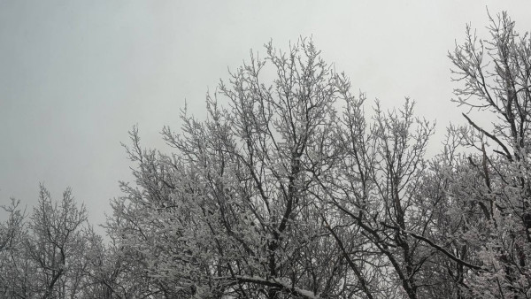 Из-за аномально холодной погоды в Самарской области объявлен оранжевый уровень опасности с 3 февраля