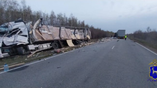 На автотрассе под Самарой 18 апреля столкнулись две фуры