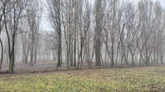 Самару ждет по-настоящему "жаркий" декабрь