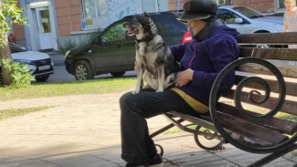 Самарским пенсионерам рассказали, как добиться повышения ежемесячных выплат