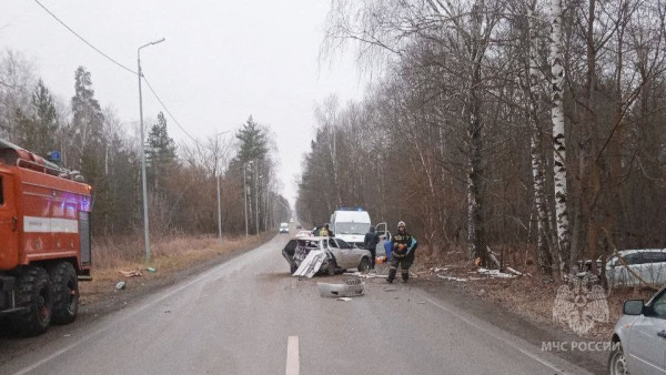 Один человек погиб в массовом ДТП под Самарой 25 ноября