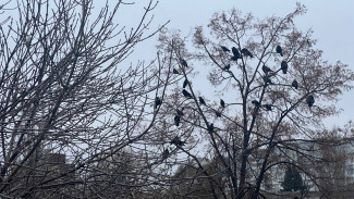 Народные приметы: 25 ноября. Что сделать, чтобы беды обошли дом стороной