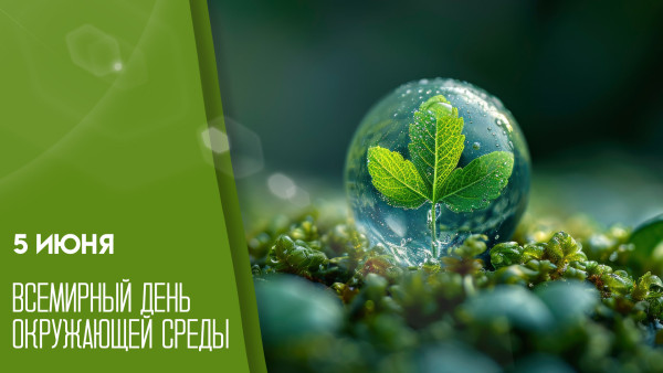 Всемирный день окружающей среды 5 июня: история и традиции глобального экологического праздника