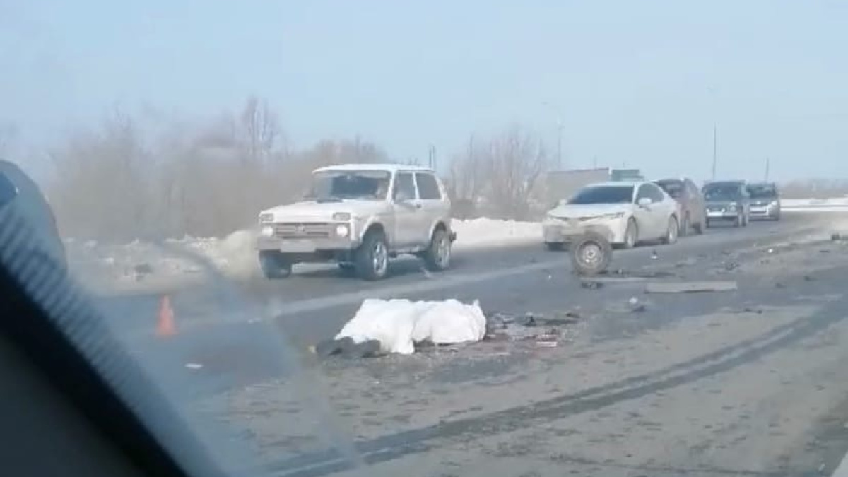 Истекающее кровью тело на асфальте увидели у Южного города – Новости Самары  и Самарской области – ГТРК Самара