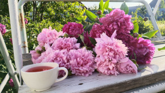 Гороскоп на 5 июня. Эти пять знаков смогут кардинально изменить судьбу