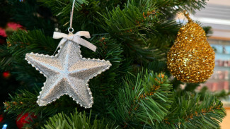Самарцам рассказали, как правильно выбирать гирлянды и игрушки к Новому году 