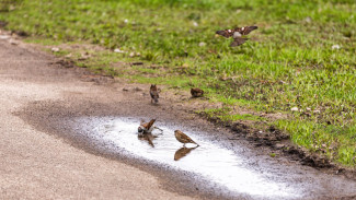 21 апреля станет самым жарким днем месяца в Самарской области