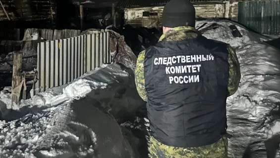 СК: 76-летний пенсионер подозревается в расчленении знакомого 