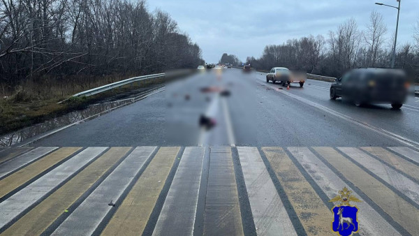 Водитель убил пенсионера и скрылся с места ДТП под Самарой