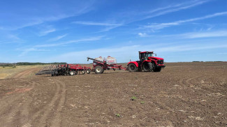 Народный календарь 29 мая 2024: что нельзя делать на Фёдора Житника, если не хотите накликать беду