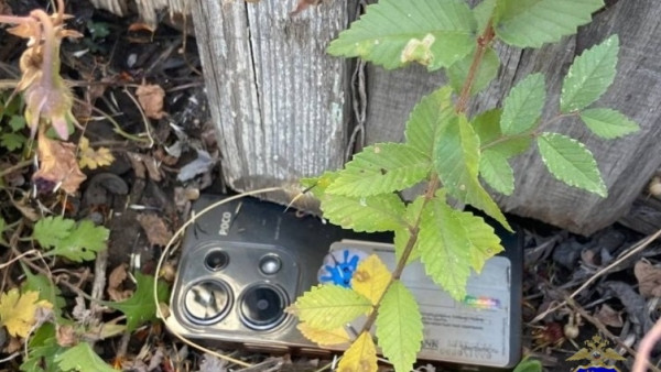 Укравшего у бывшей телефон ухажера поймала самарская полиция