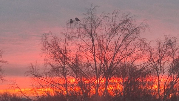 Жителей Самары предупредили о резком повышении атмосферного давления в конце февраля