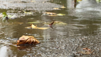 Синоптики рассказали самарцам о морозах до -39 градусов в ноябре
