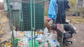  В Самаре планируют купить контейнеры-бункеры для ТКО