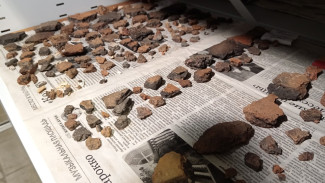 Колыбель народов и родина боевых колесниц: археологи раскрыли древние тайны Самарской области