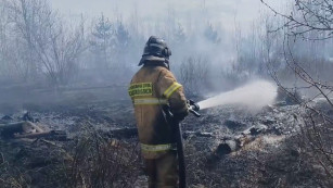 Массовая атака БПЛА вызвала низовой пожар под Самарой 18 апреля