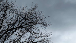 Два украинских беспилотника сбили над Самарской областью 15 января