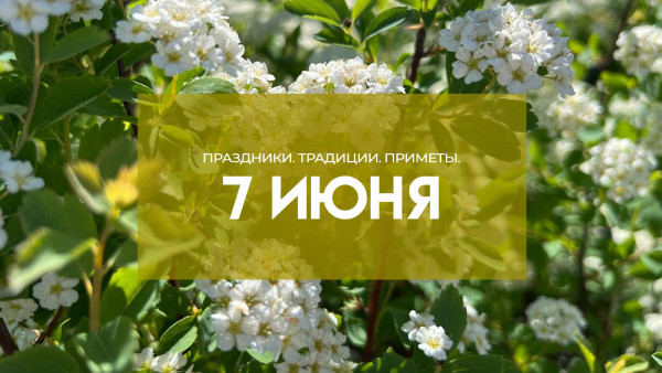 7 июня - Иванов день: почему запрещено детям находиться под «медвяной росой»