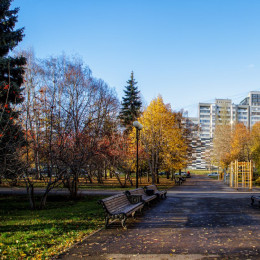 Единый стандарт благоустройства для всех городов и районов введут в Самарской области