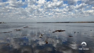Вода у края набережной: в Самаре начало затапливать городские пляжи