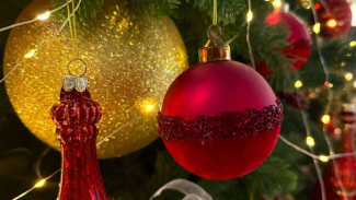 Самарцев приглашают на рыжую елку от отряда ЛизаАлерт