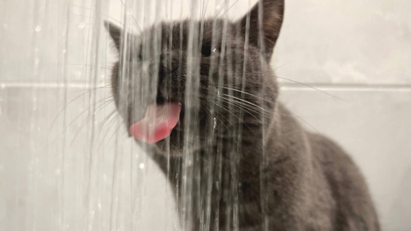 13 улиц Самары временно останутся без воды 28 декабря