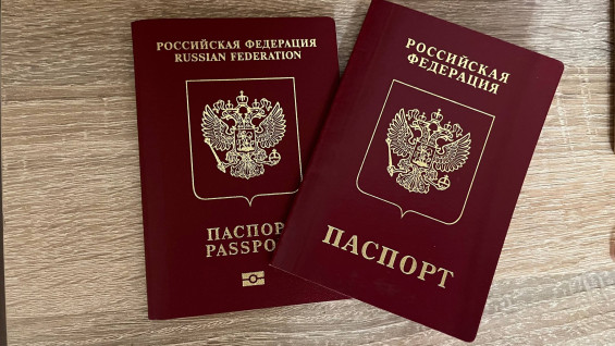 Госдума поддержала отмену записи о детях в загранпаспортах