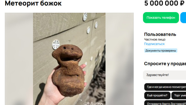 Самарцам предлагают купить метеорит необычной формы за 5 млн. рублей