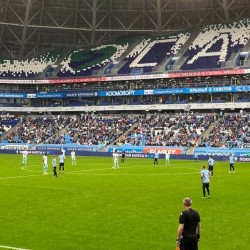 РФС проверит эпизоды матчей «Крыльев Советов»